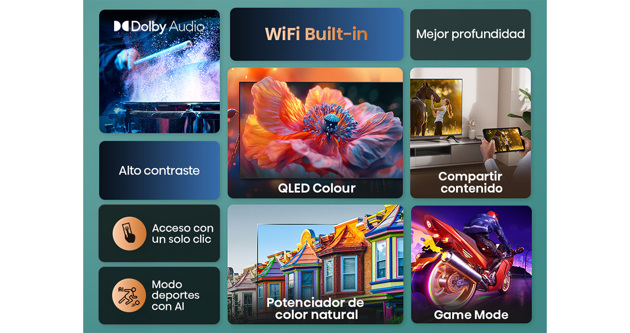 Producto 0000041005 - 2