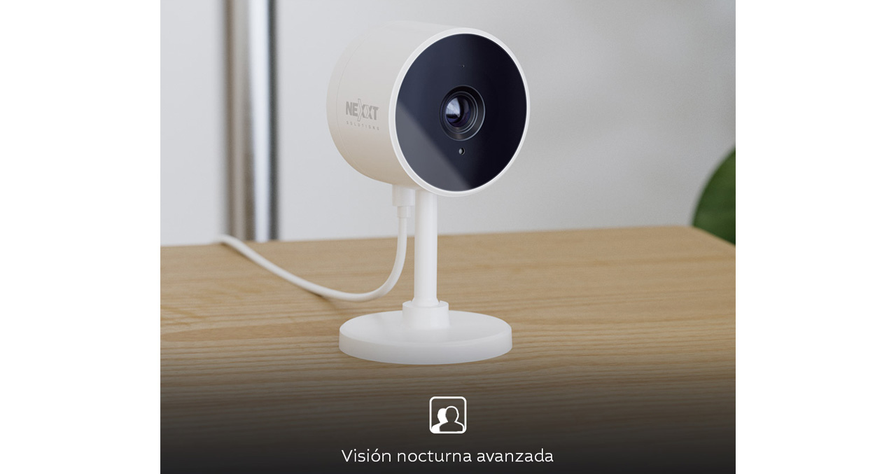 Producto 0000041619 - 3