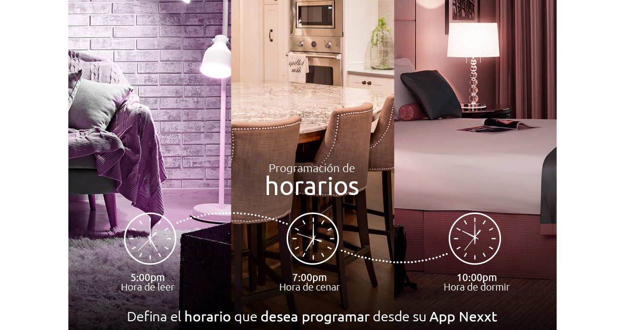 Producto 0000041621 - 3
