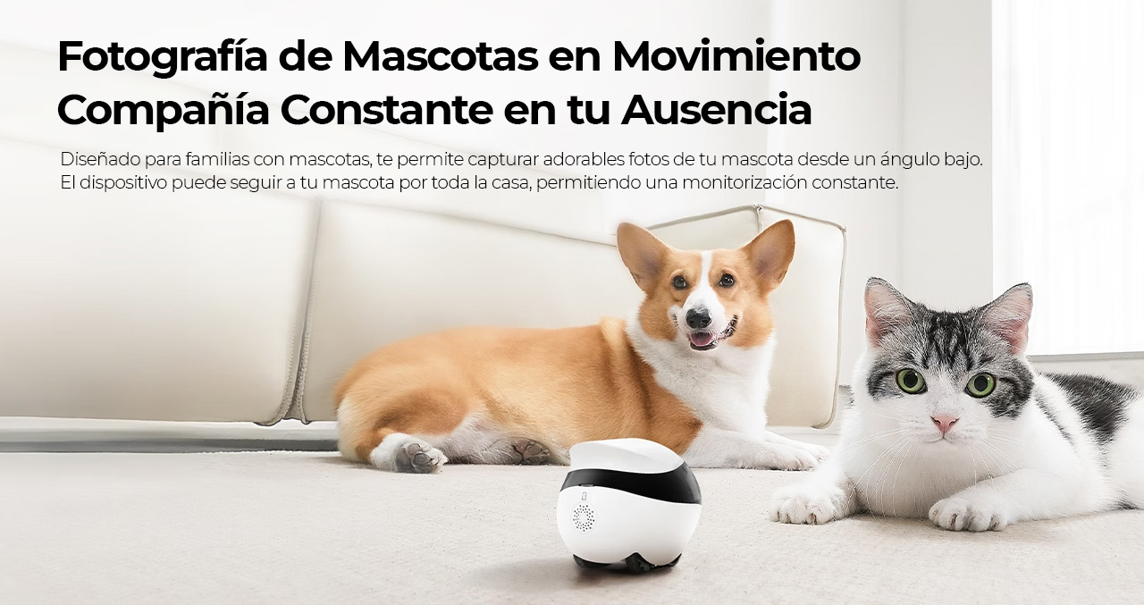 Producto 0000041769 - 2