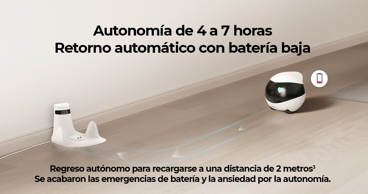 Producto 0000041769 - 3